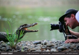 مشروع التنوع الحيوي هو محاولة لتصوير كل الحيوانات في العالم