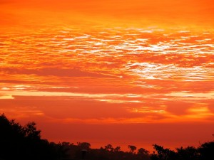 اجمل اللوحات الفنية لغروب الشمس في ولاية كاليفورنيا
